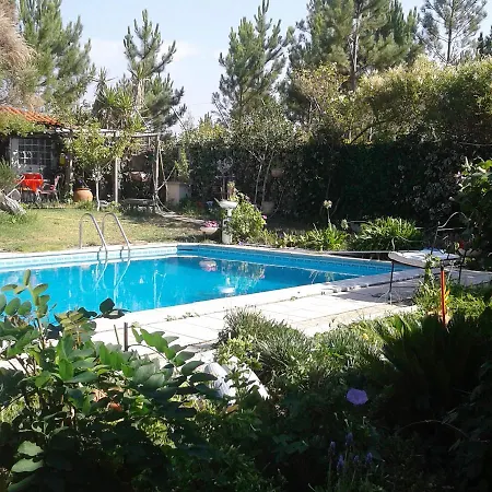 Comfortable House In Nazare, With Shared Pool