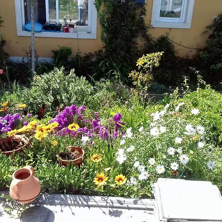 Comfortable House In Nazare, With Shared Pool Nazare
