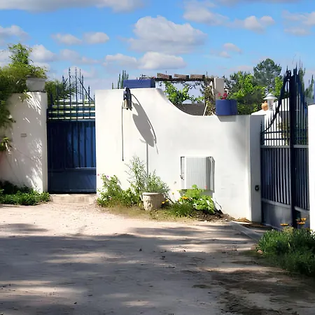 Comfortable House In Nazare, With Shared Pool *